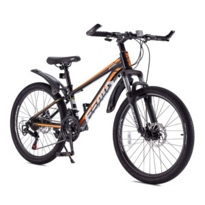 royalbaby-aluminum-alloy-mtb-bike-24-black